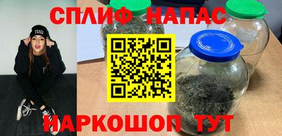 гидра Можга